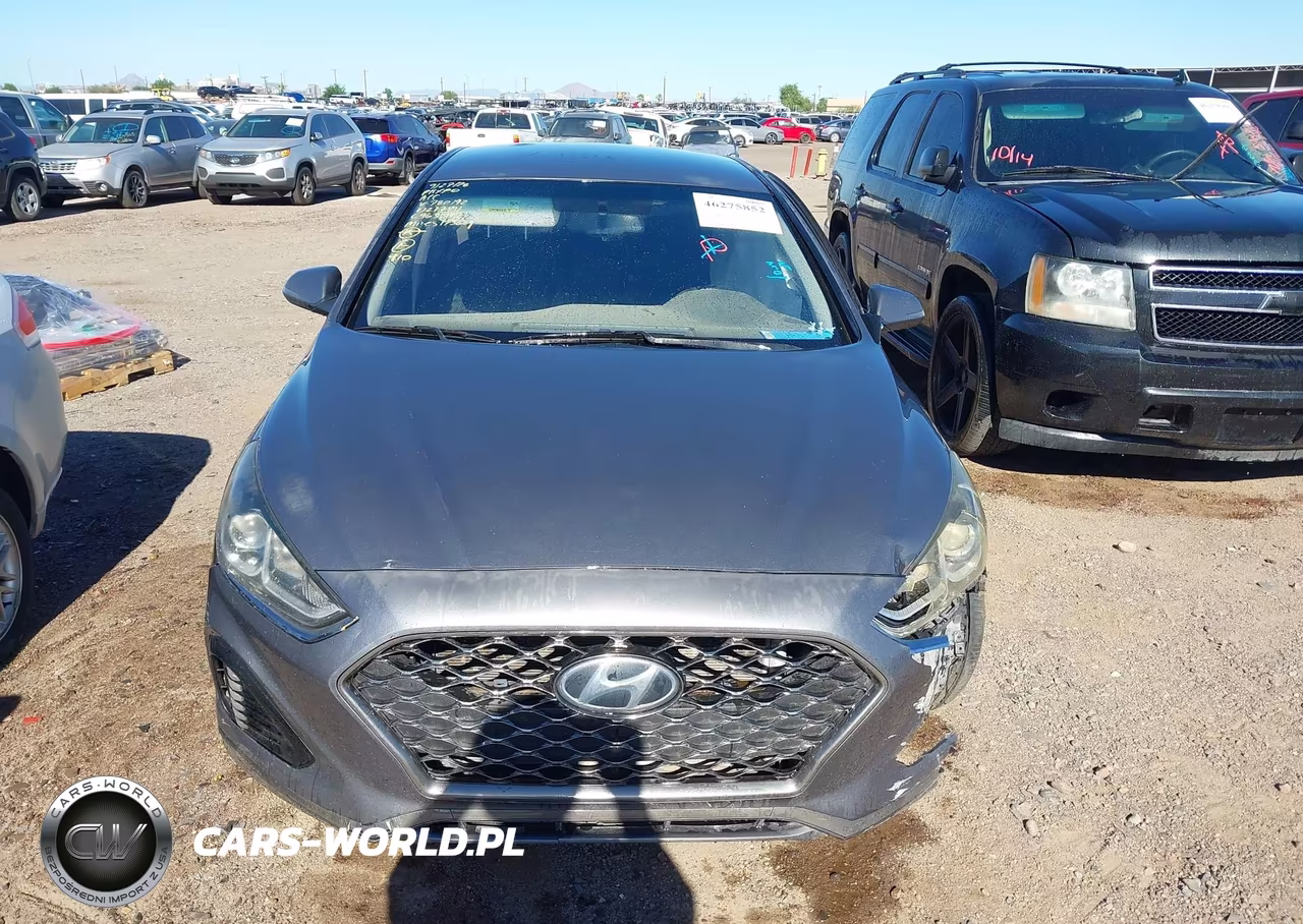 2019 Hyundai Sonata Sel VIN:5NPE34AF2KH780192 - 12