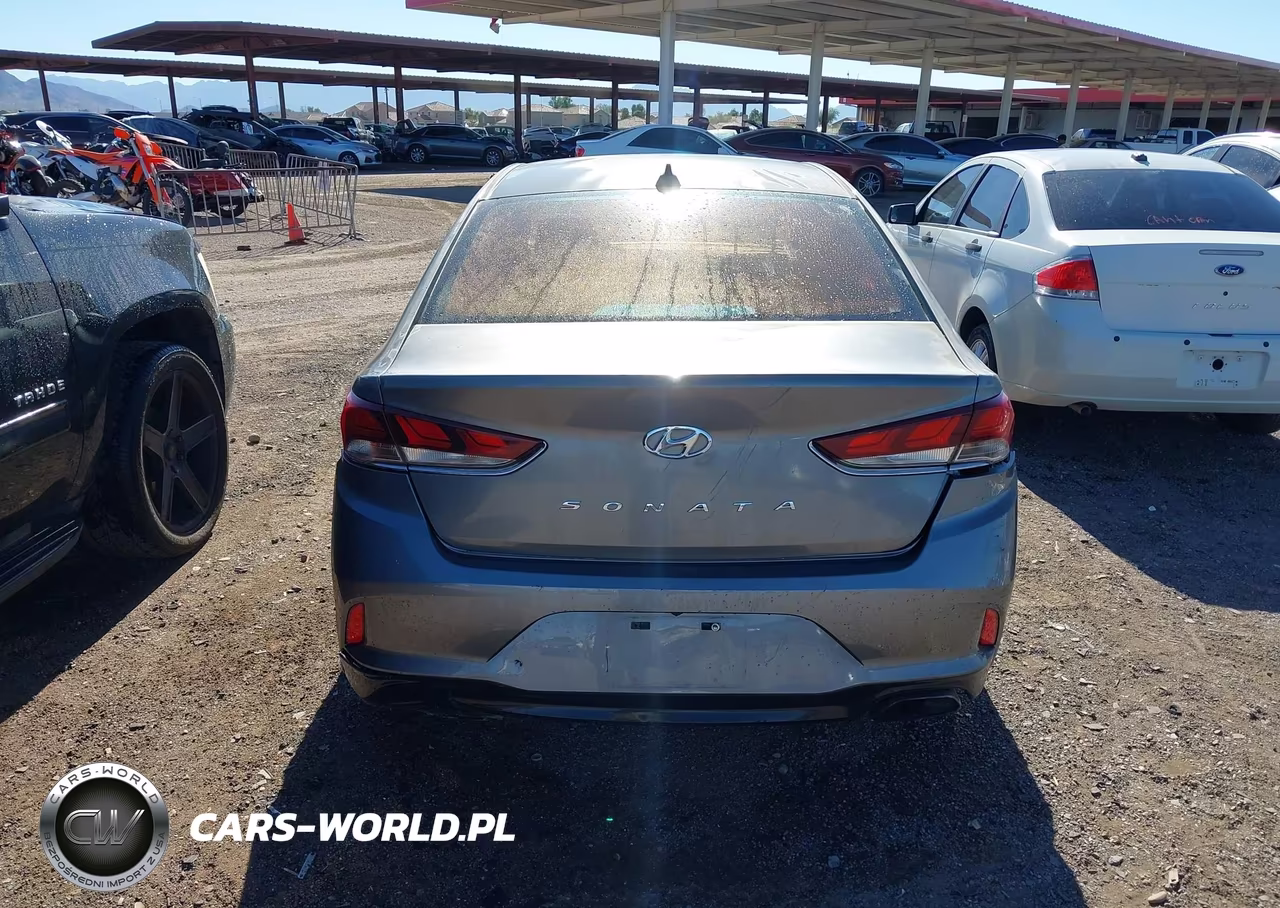 2019 Hyundai Sonata Sel VIN:5NPE34AF2KH780192 - 16