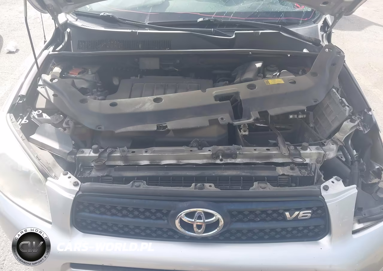 2006 Toyota Rav4 Base V6 VIN:JTMBK33V166006553 - 10