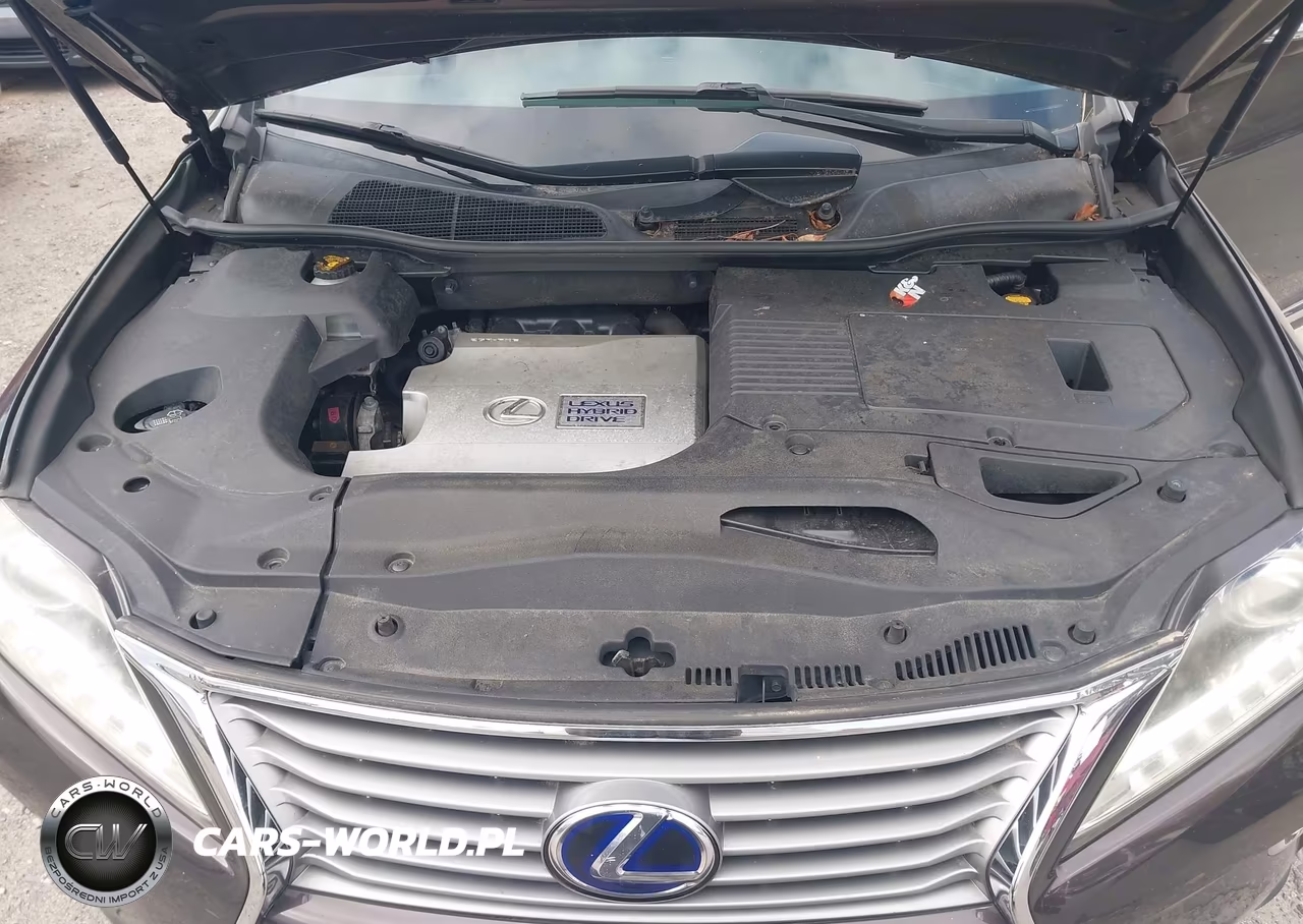 2013 Lexus Rx 450H VIN:JTJBC1BA7D2056486 - 10
