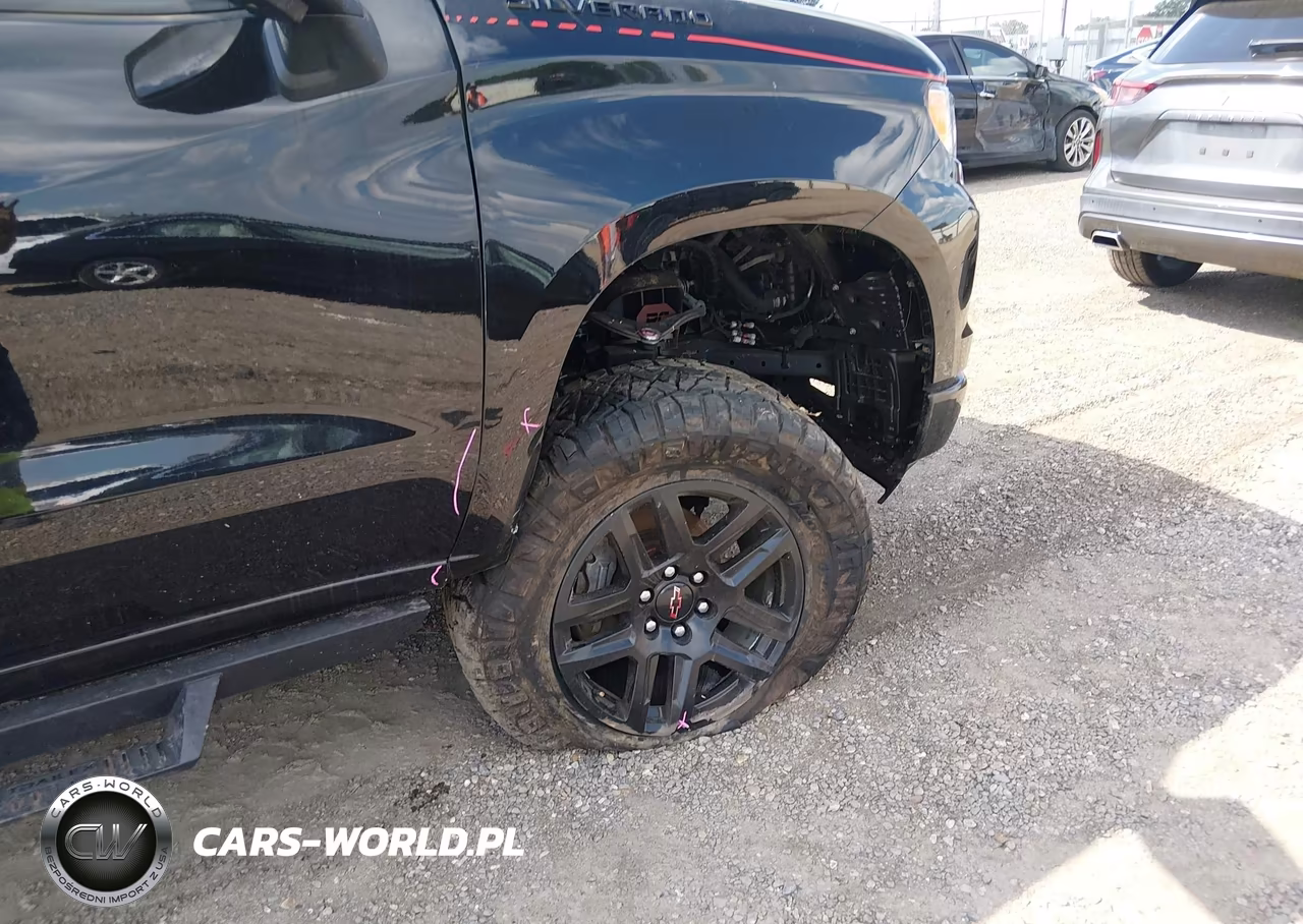 2024 Chevrolet Silverado 1500 4Wd Short Bed Rst VIN:1GCUDEEL9RZ389767 - 19
