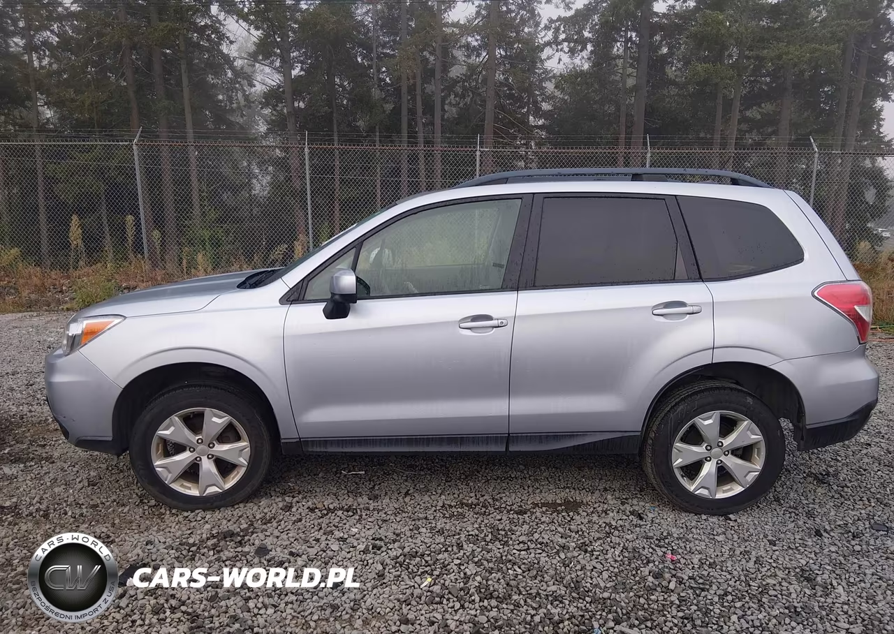 2015 Subaru Forester 2.5I Premium VIN:JF2SJAGC0FH571902 - 13