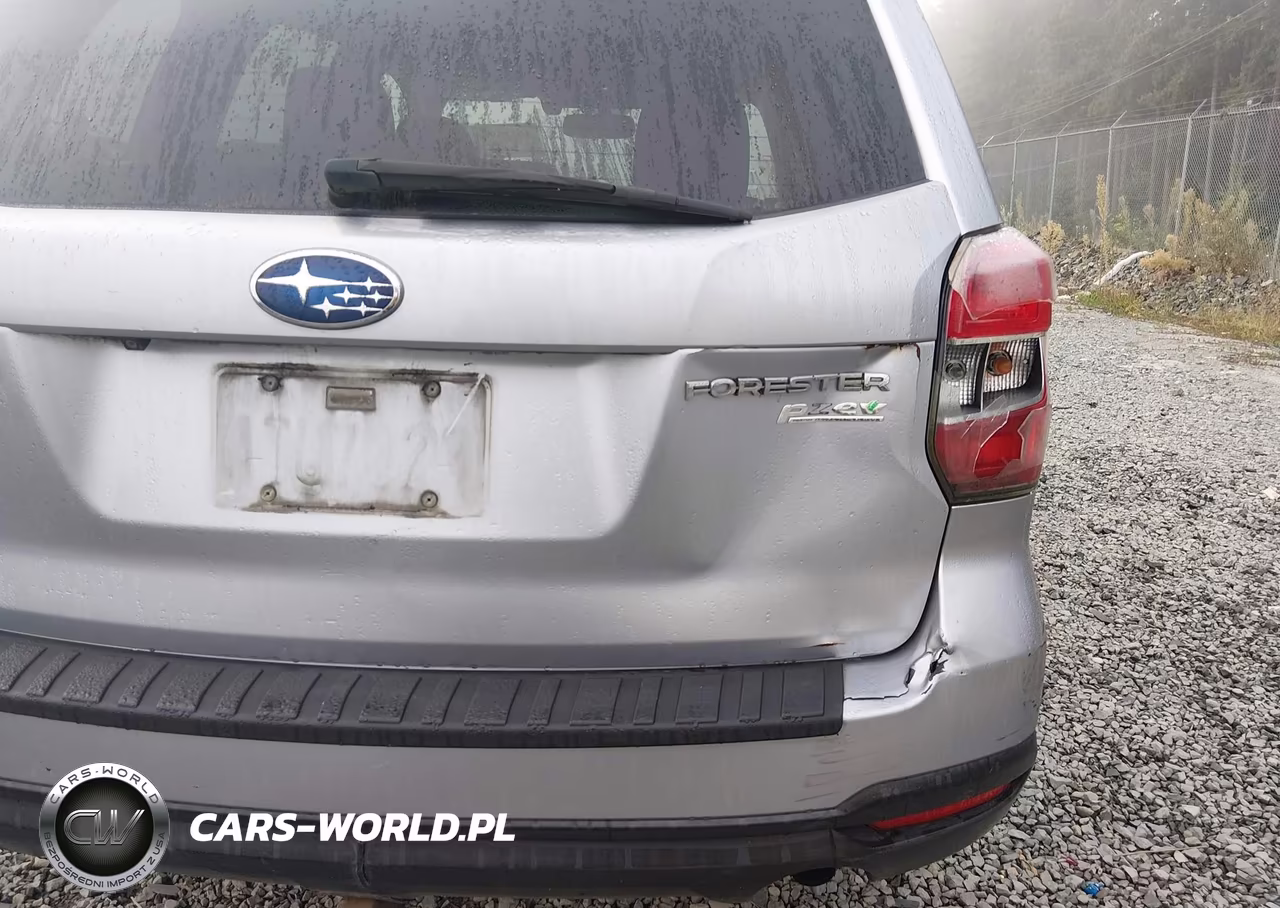 2015 Subaru Forester 2.5I Premium VIN:JF2SJAGC0FH571902 - 19