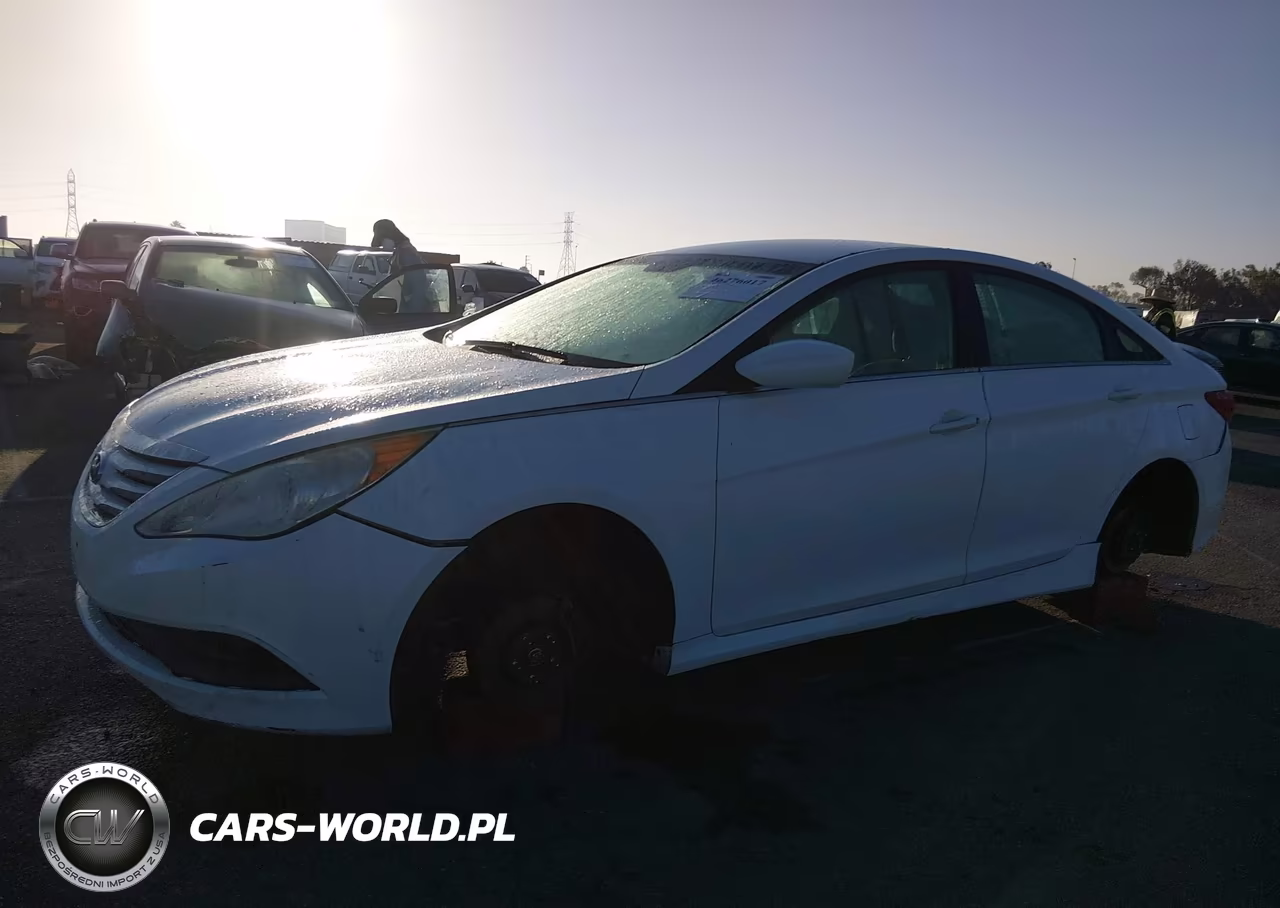 2014 Hyundai Sonata Gls VIN:5NPEB4AC8EH851599 - 14
