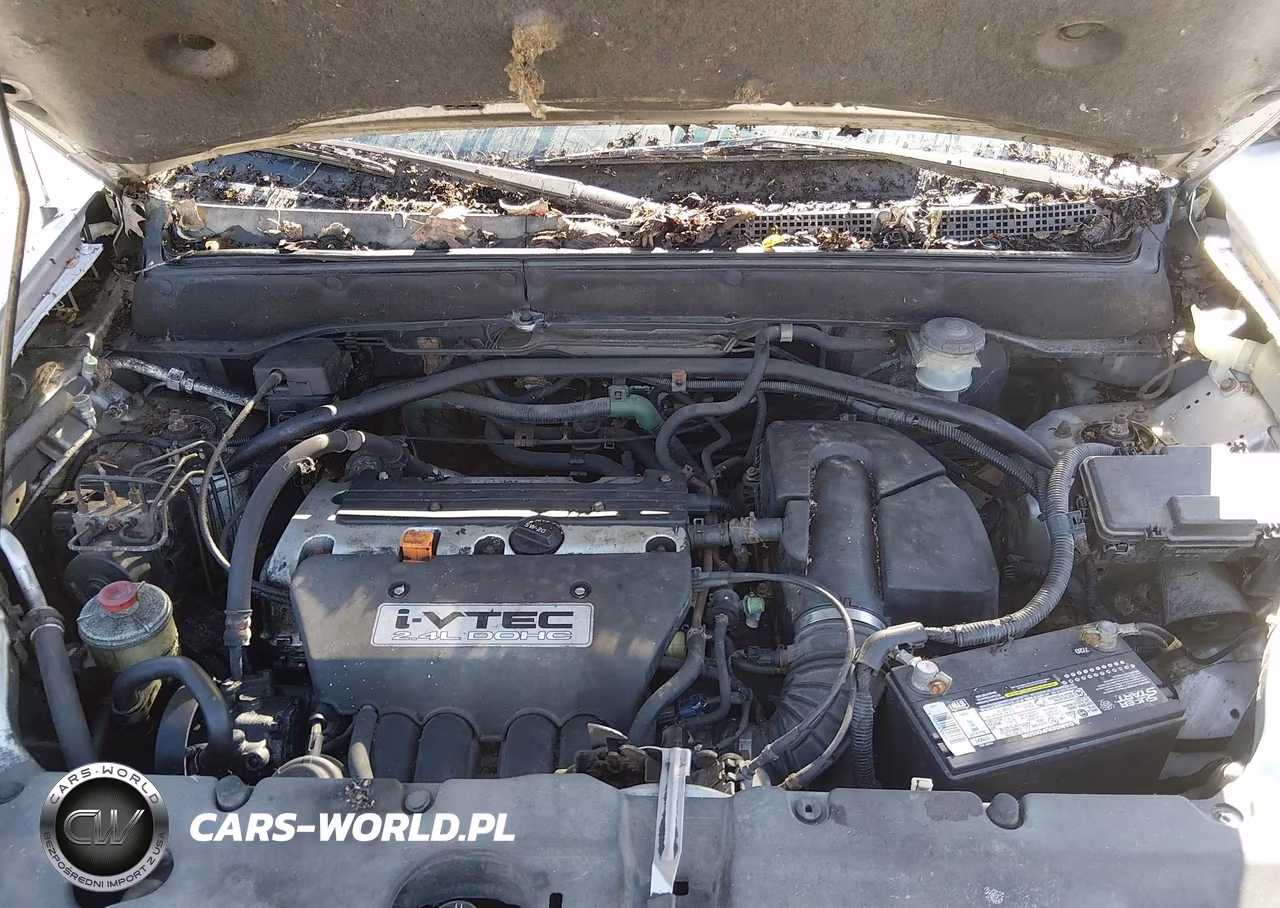 2003 Honda Cr-V Ex VIN:JHLRD78813C041967 - 10