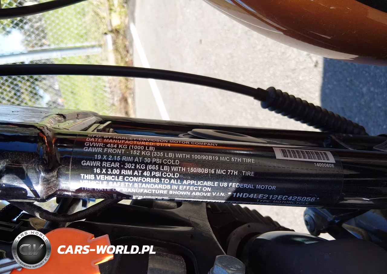 2014 Harley-Davidson Xl883 Iron 883 VIN:1HD4LE212EC425056 - 10