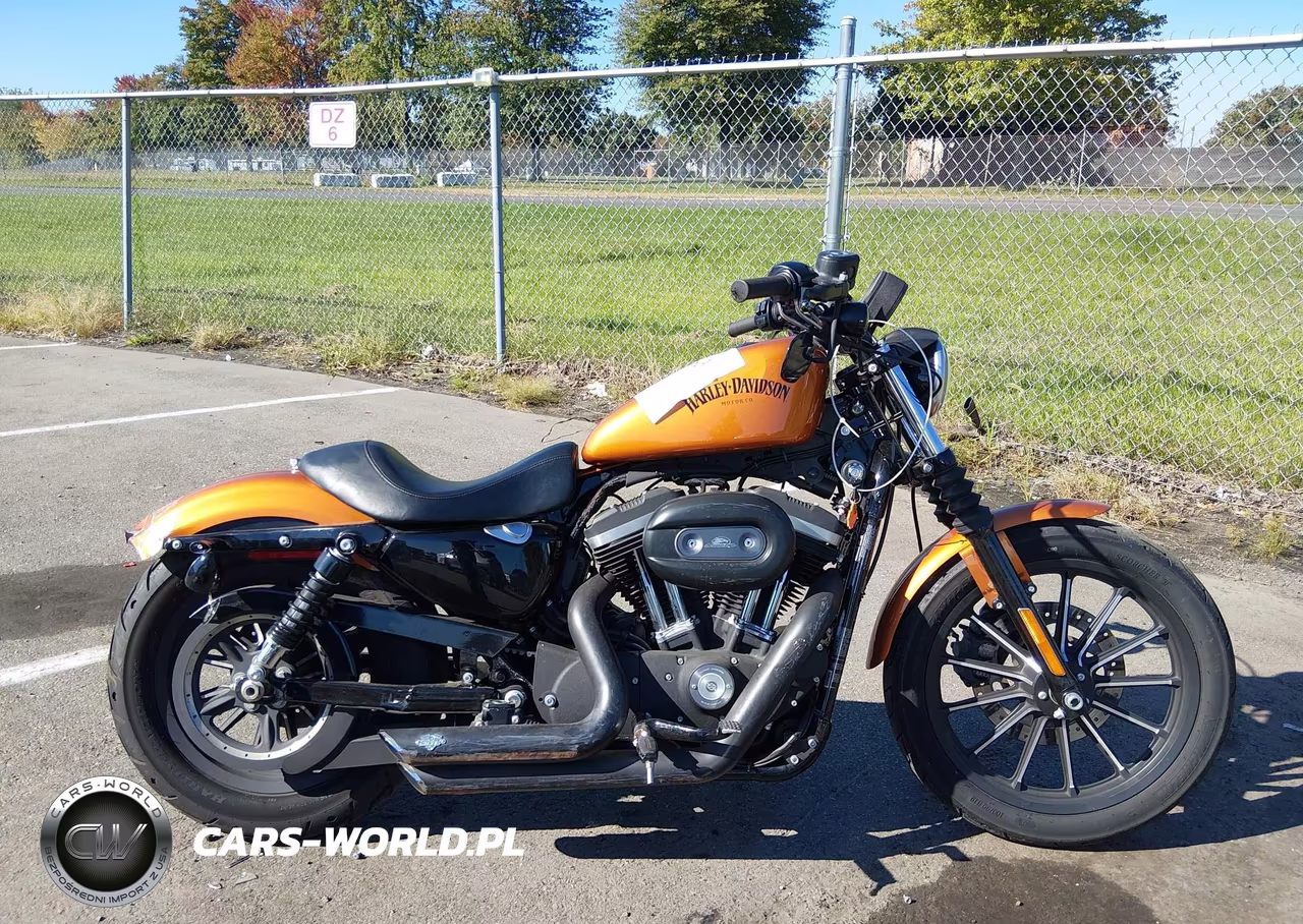 2014 Harley-Davidson Xl883 Iron 883 VIN:1HD4LE212EC425056 - 12