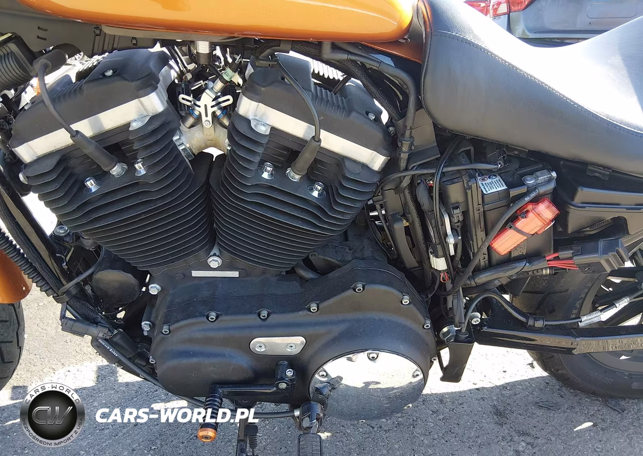2014 Harley-Davidson Xl883 Iron 883 VIN:1HD4LE212EC425056 - 9