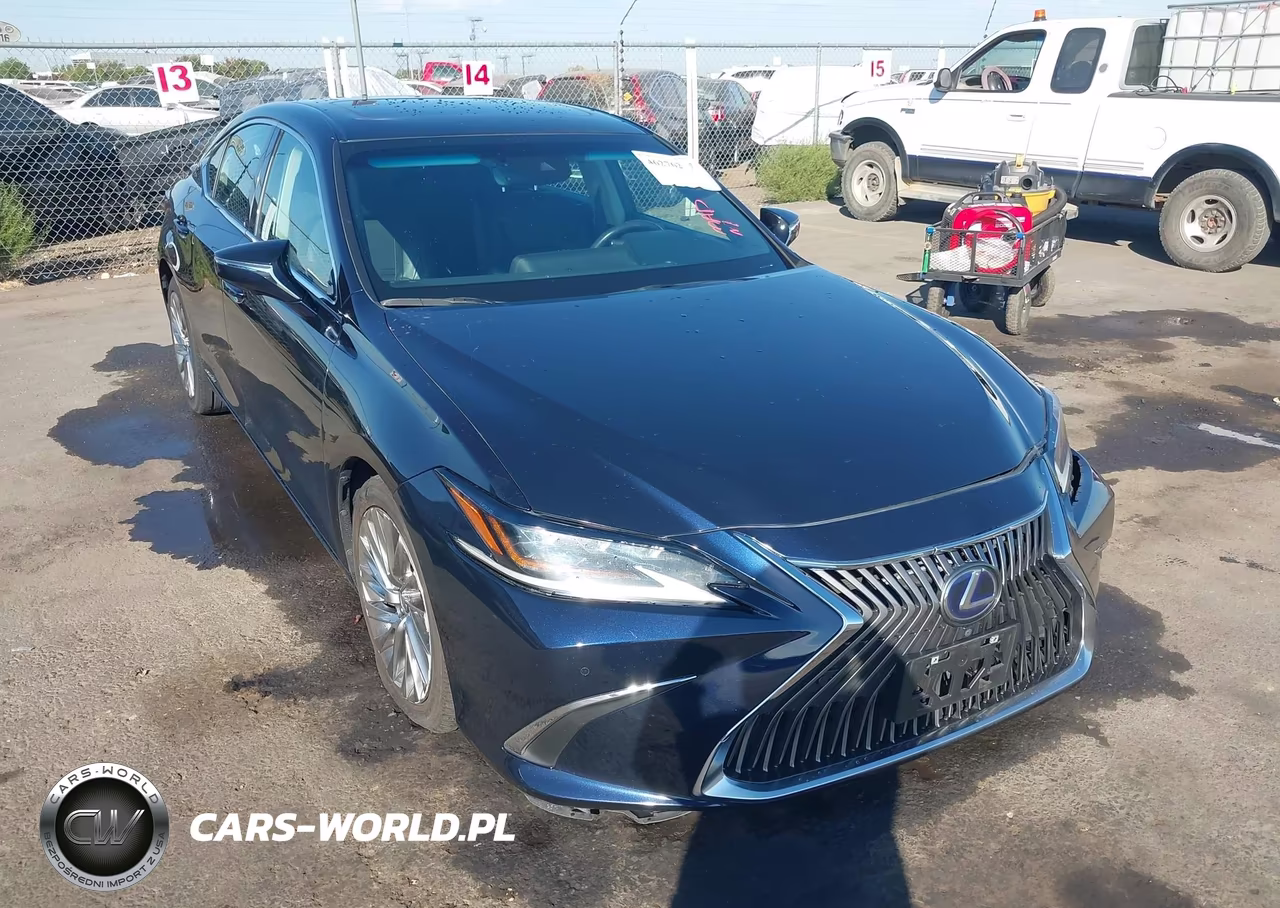 2020 Lexus Es 300H Luxury VIN:58AE21B17LU011624 - 1
