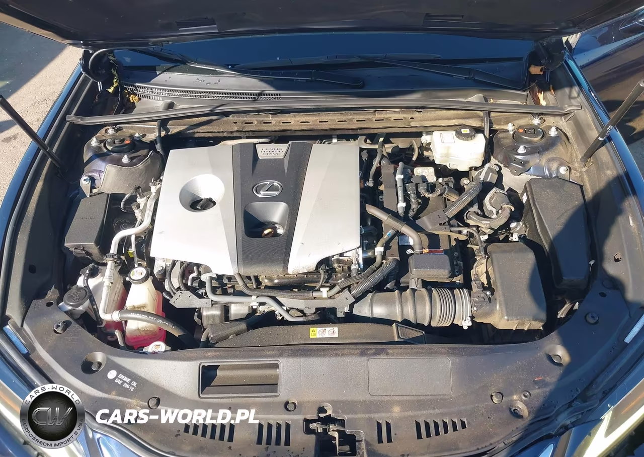 2020 Lexus Es 300H Luxury VIN:58AE21B17LU011624 - 10