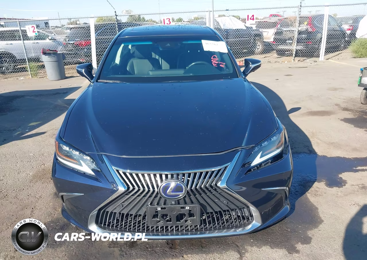 2020 Lexus Es 300H Luxury VIN:58AE21B17LU011624 - 12