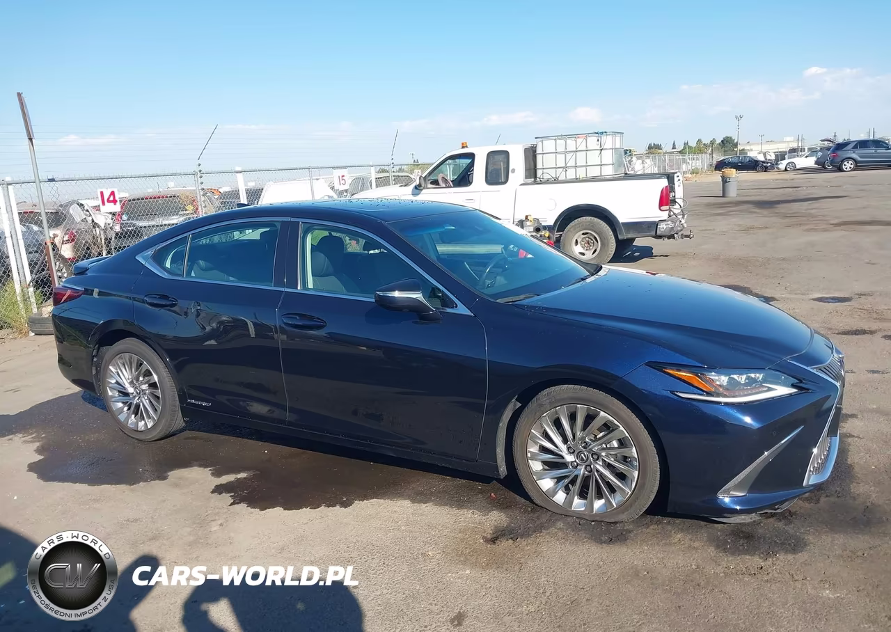 2020 Lexus Es 300H Luxury VIN:58AE21B17LU011624 - 13