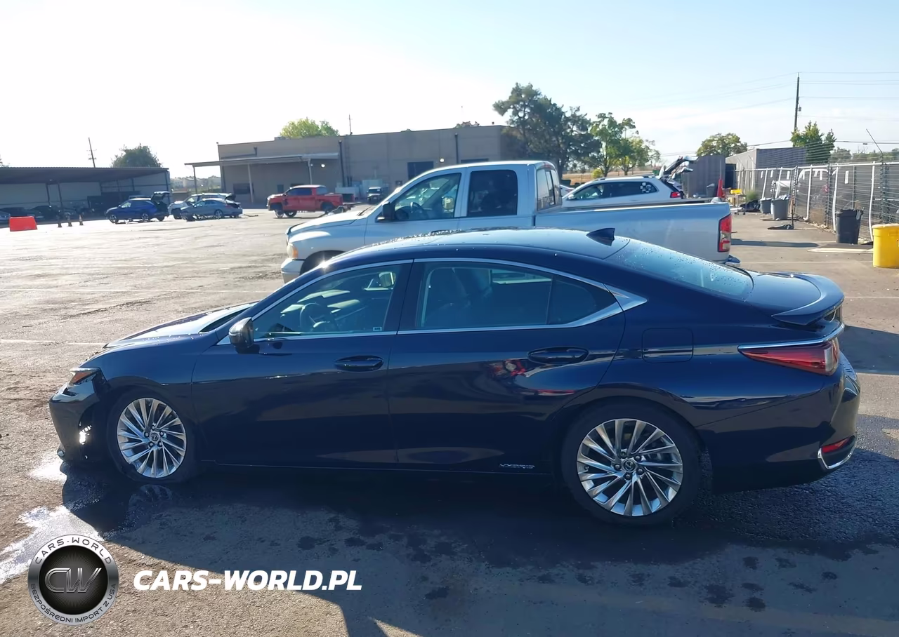 2020 Lexus Es 300H Luxury VIN:58AE21B17LU011624 - 14