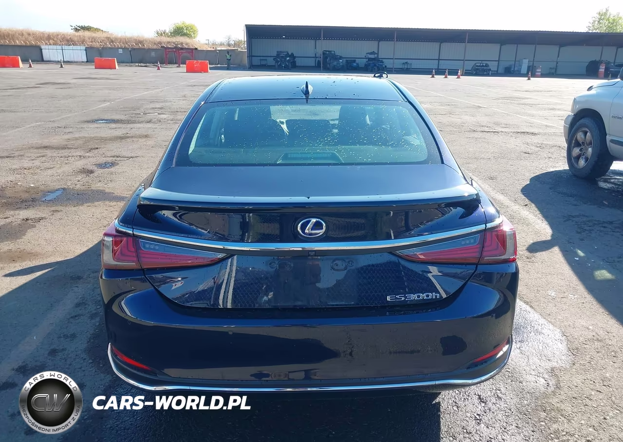 2020 Lexus Es 300H Luxury VIN:58AE21B17LU011624 - 16