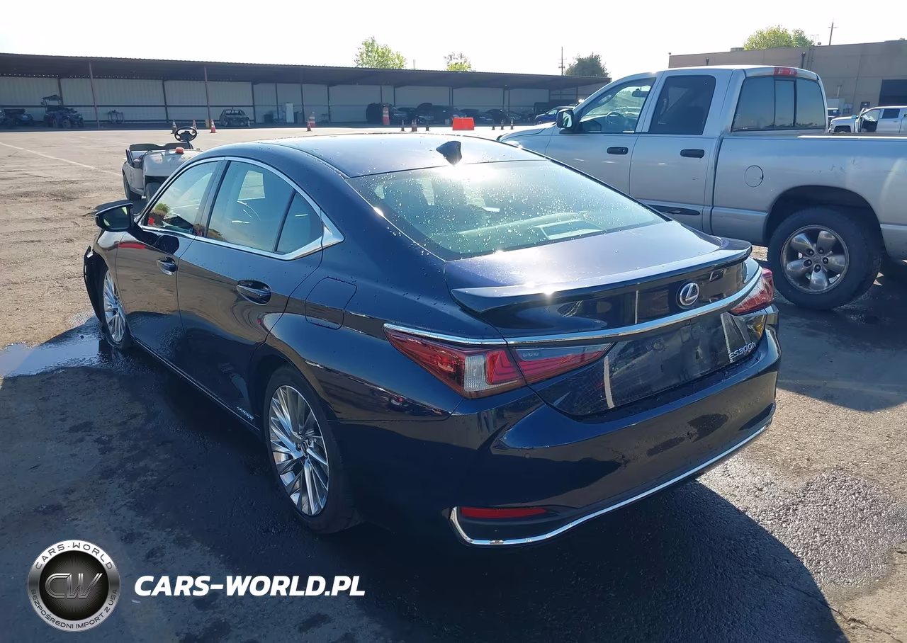 2020 Lexus Es 300H Luxury VIN:58AE21B17LU011624 - 3