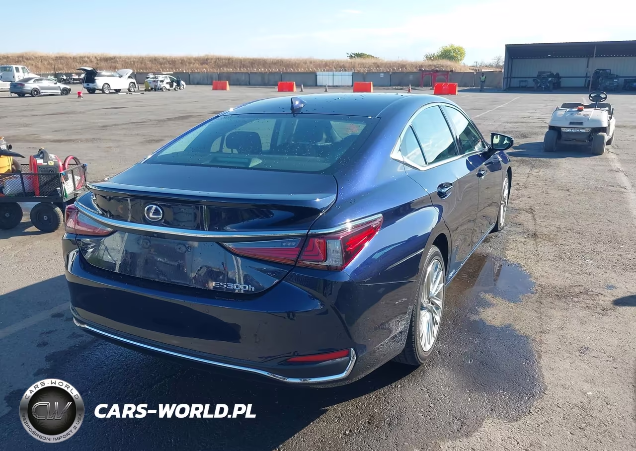 2020 Lexus Es 300H Luxury VIN:58AE21B17LU011624 - 4