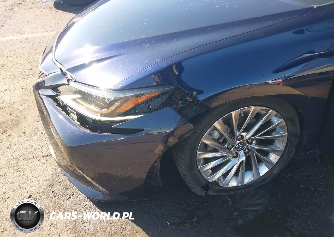 2020 Lexus Es 300H Luxury VIN:58AE21B17LU011624 - 6