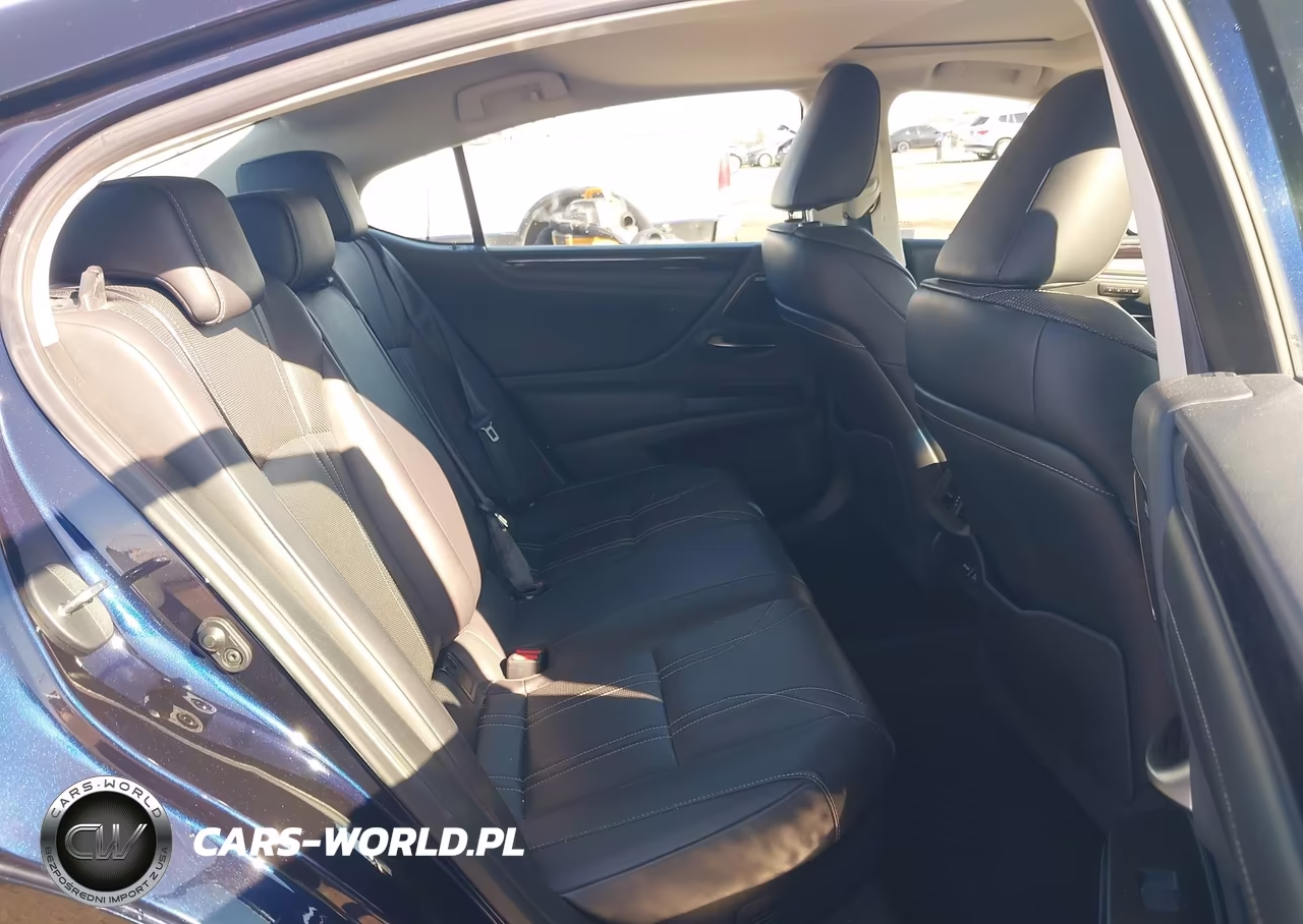 2020 Lexus Es 300H Luxury VIN:58AE21B17LU011624 - 8