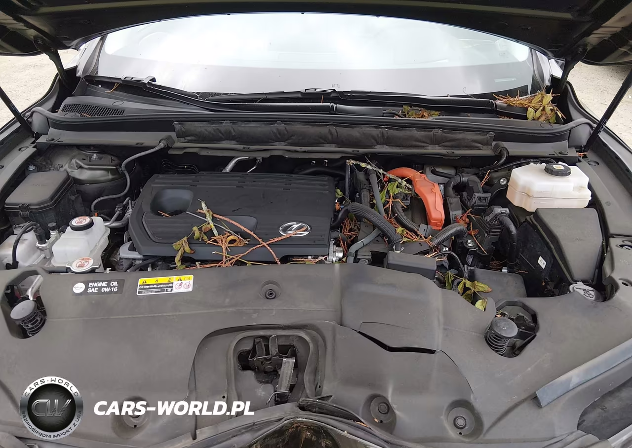 2023 Lexus Rx 350H Luxury VIN:2T2BBMCA3PC013366 - 10
