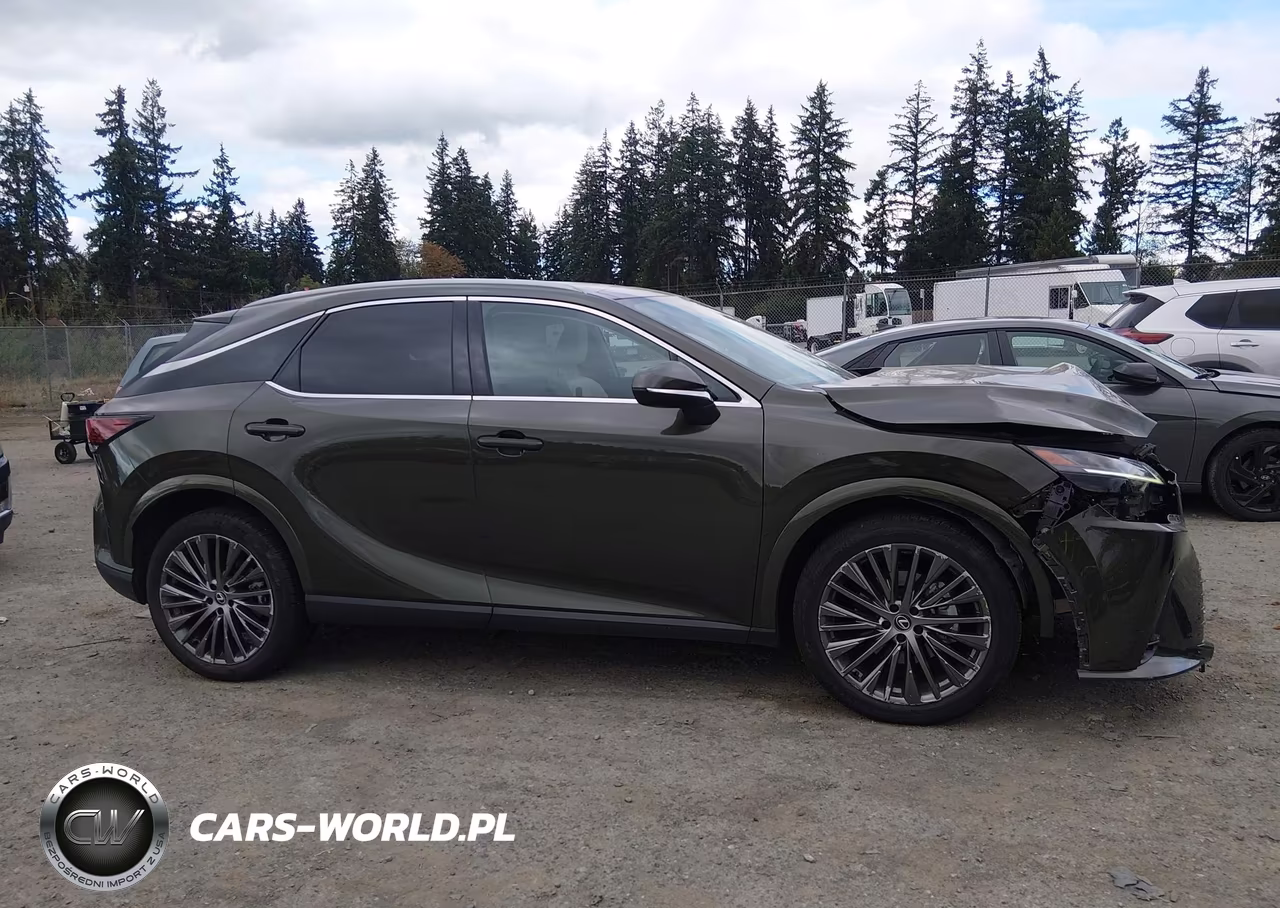 2023 Lexus Rx 350H Luxury VIN:2T2BBMCA3PC013366 - 13