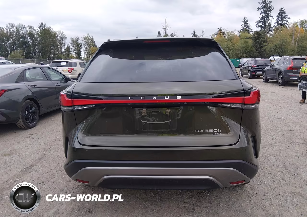 2023 Lexus Rx 350H Luxury VIN:2T2BBMCA3PC013366 - 16