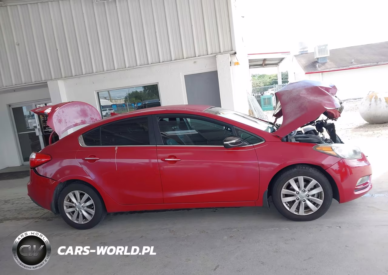 2014 Kia Forte Ex VIN:KNAFX4A8XE5087446 - 13