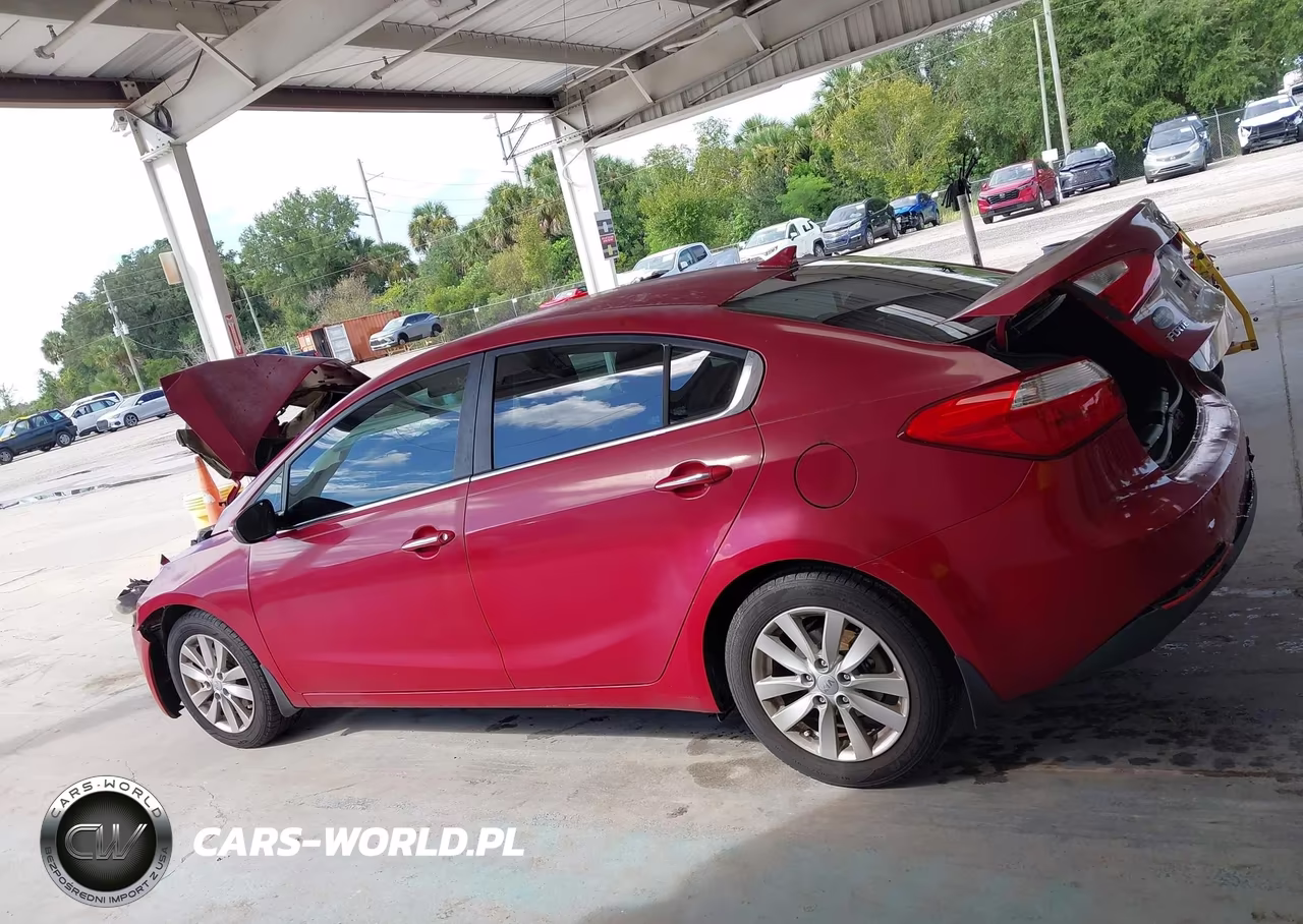 2014 Kia Forte Ex VIN:KNAFX4A8XE5087446 - 14