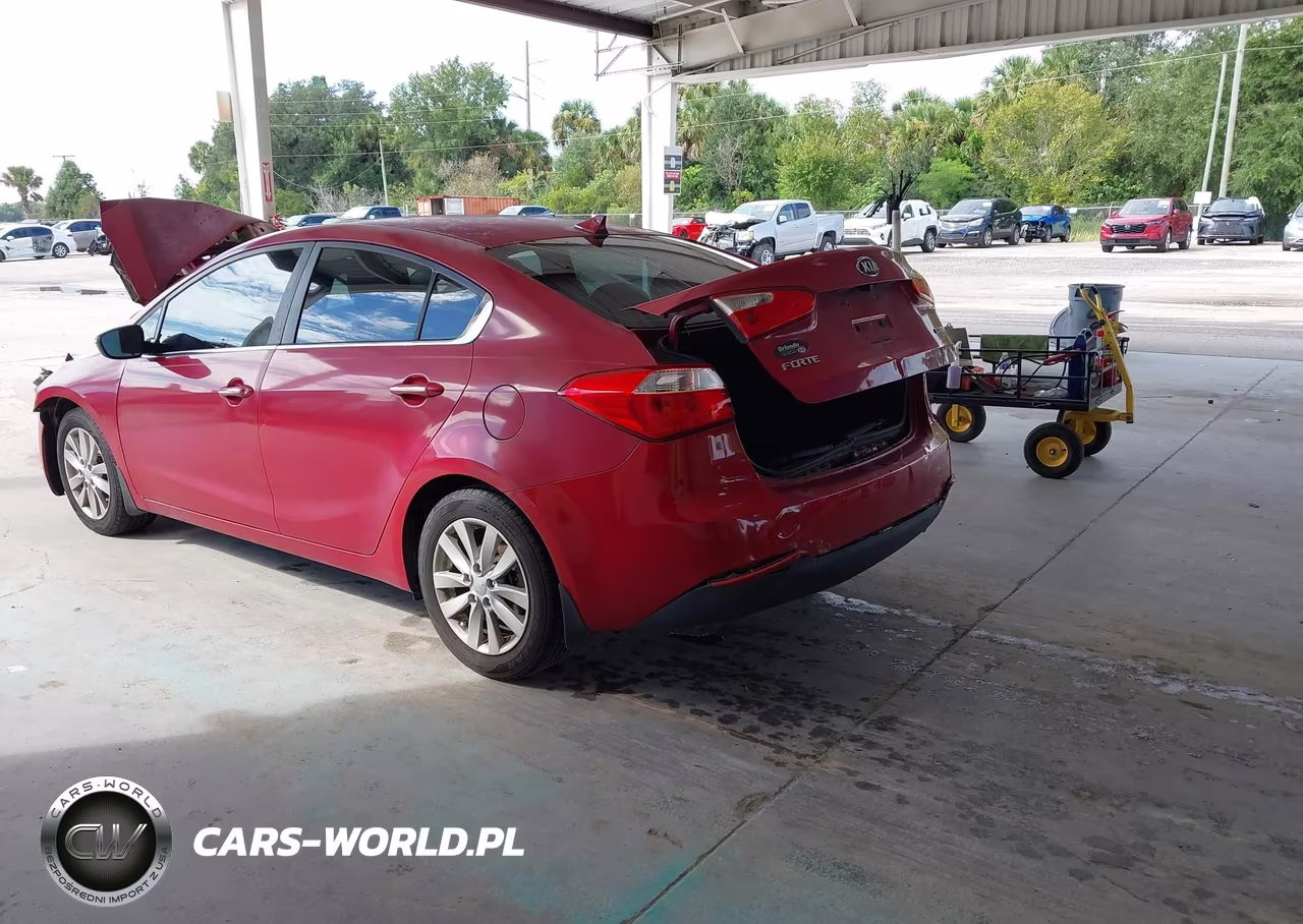2014 Kia Forte Ex VIN:KNAFX4A8XE5087446 - 3