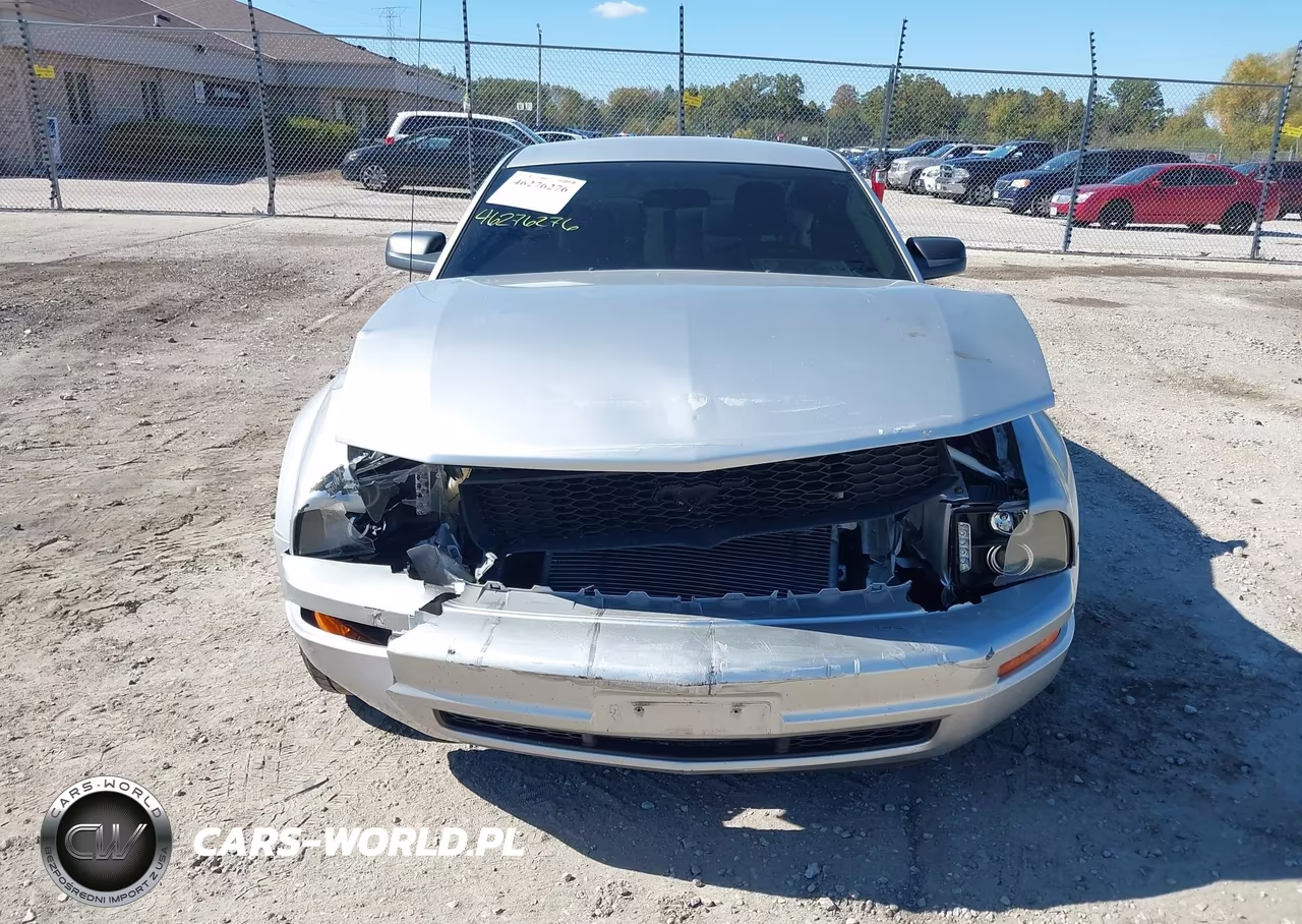 2009 Ford Mustang V6-V6 Premium VIN:1ZVHT80N095142267 - 12