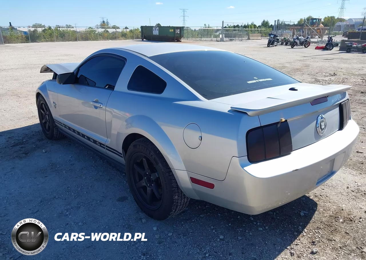 2009 Ford Mustang V6-V6 Premium VIN:1ZVHT80N095142267 - 3