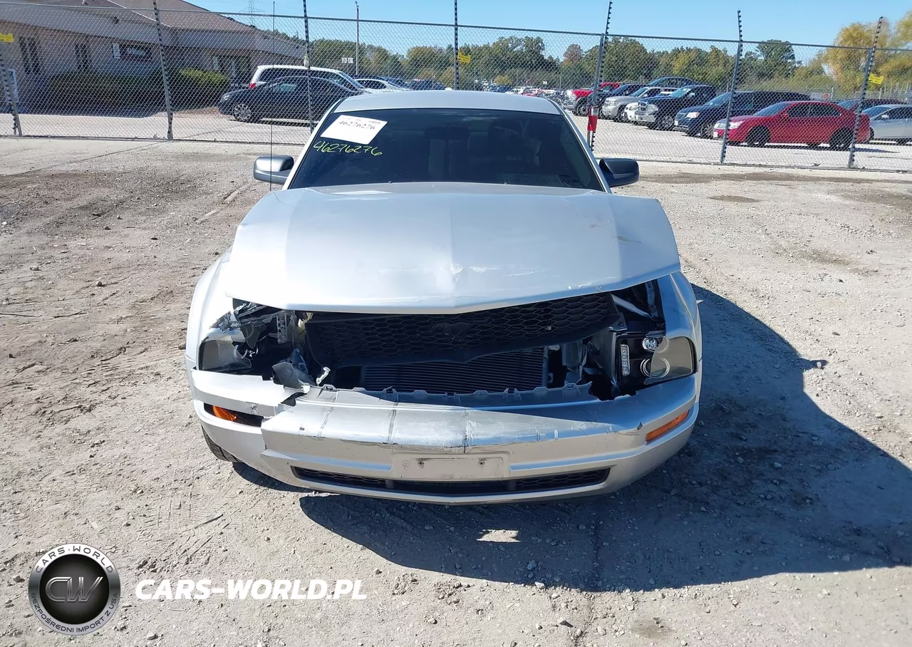 2009 Ford Mustang V6-V6 Premium VIN:1ZVHT80N095142267 - 6