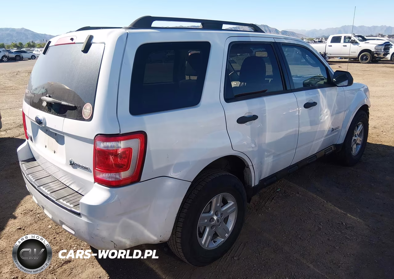 2009 Ford Escape Hybrid Limited VIN:1FMCU49369KC39331 - 4