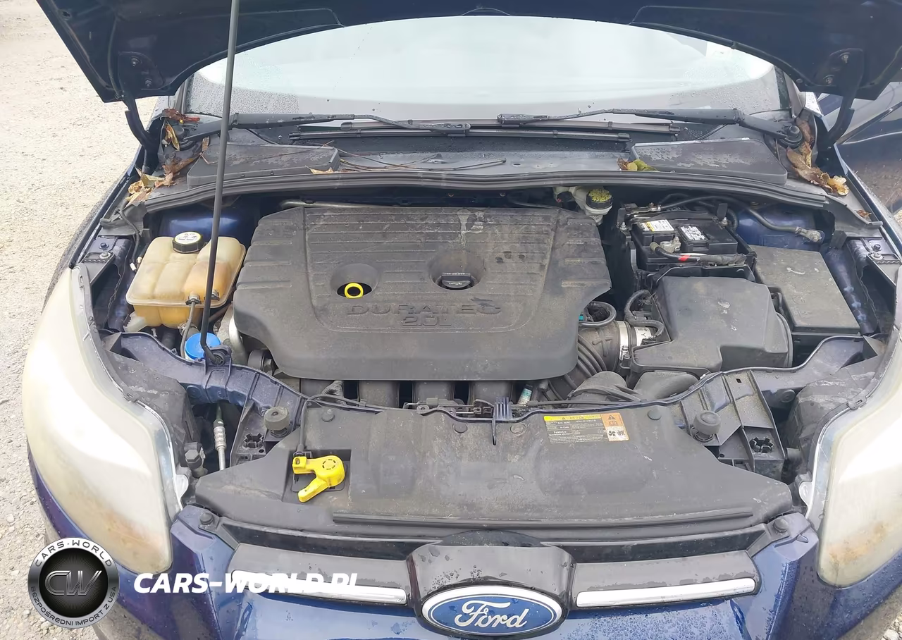 2012 Ford Focus Titanium VIN:1FAHP3N22CL102483 - 10