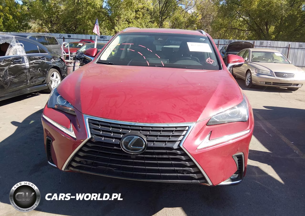 2018 Lexus Nx 300 VIN:JTJBARBZ6J2174339 - 13