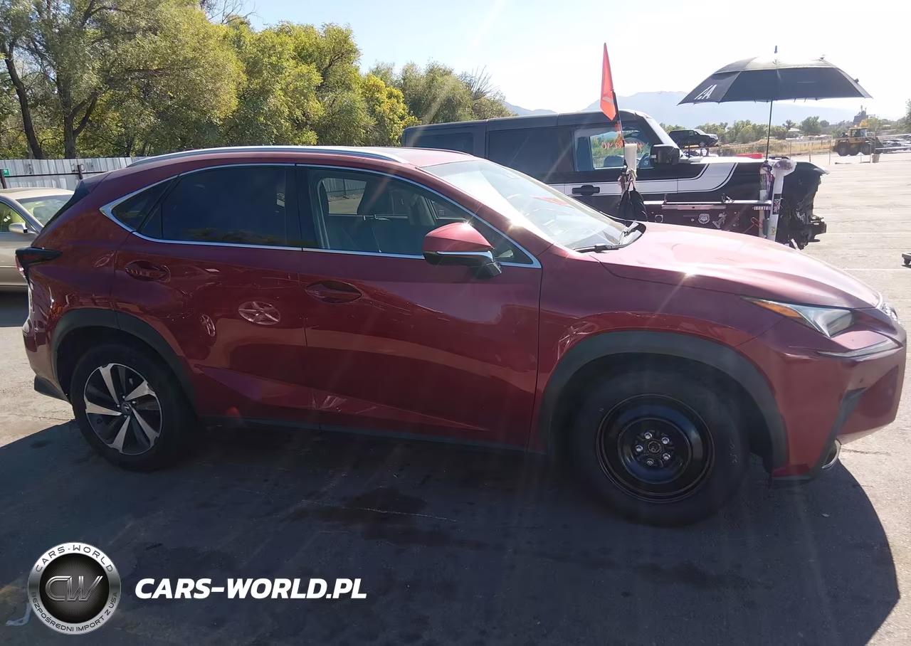 2018 Lexus Nx 300 VIN:JTJBARBZ6J2174339 - 14