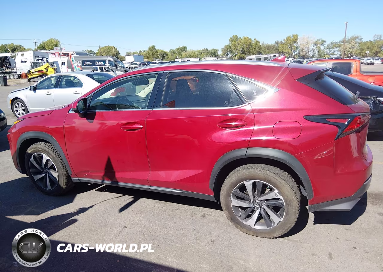 2018 Lexus Nx 300 VIN:JTJBARBZ6J2174339 - 15