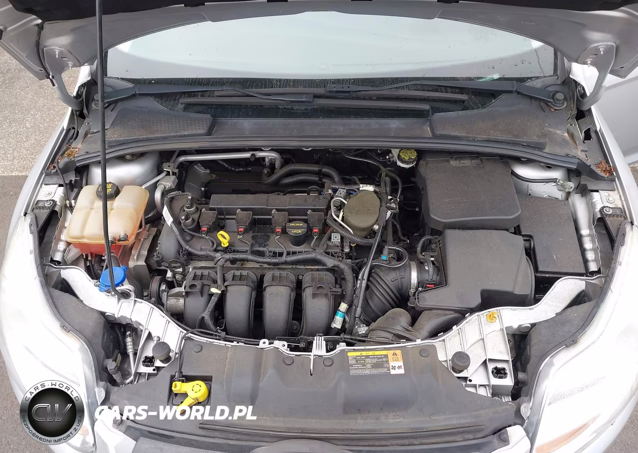 2014 Ford Focus Se VIN:1FADP3K24EL144711 - 10