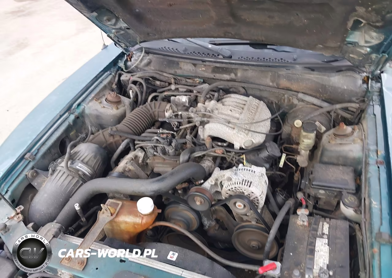 1998 Ford Mustang VIN:1FAFP4045WF110182 - 10