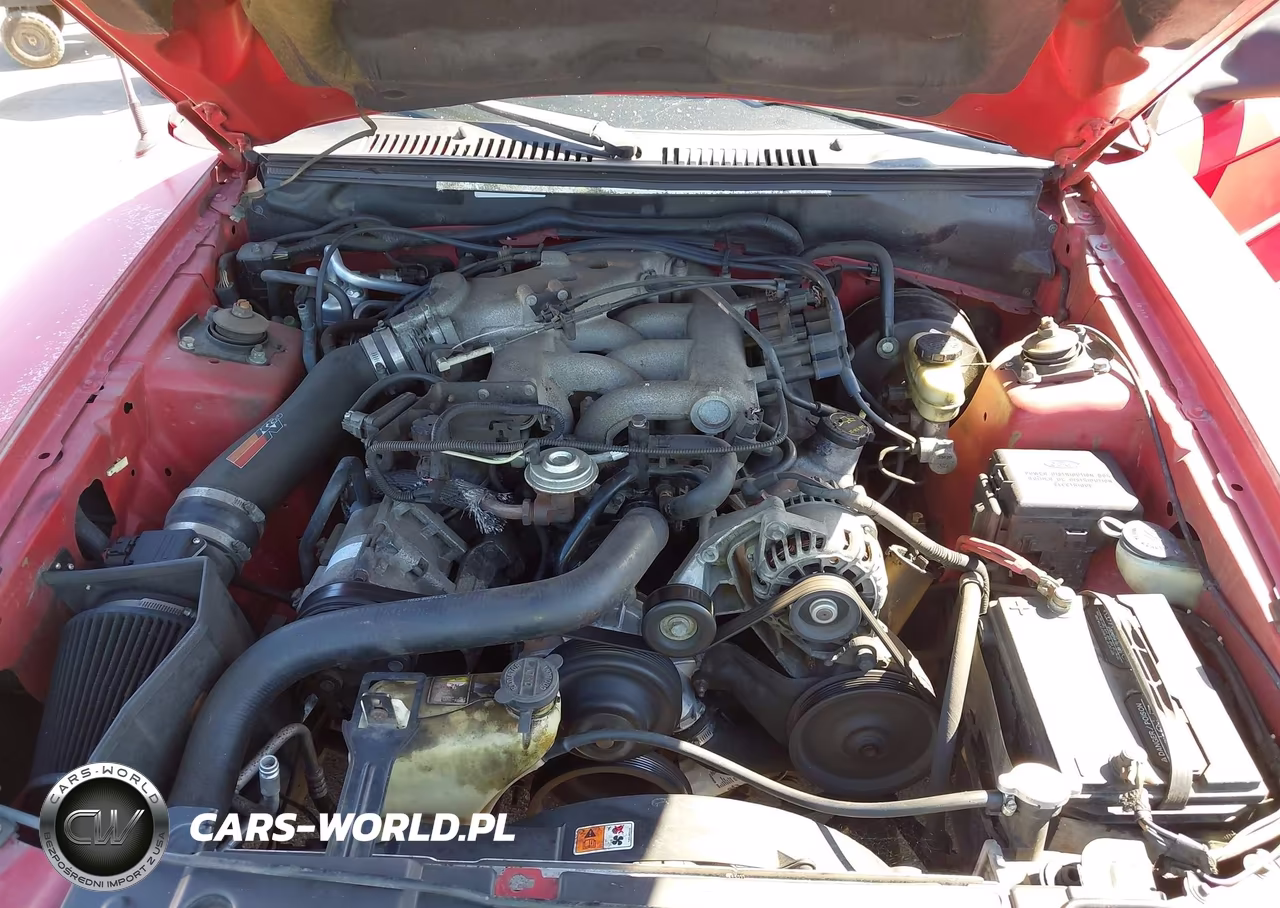 2004 Ford Mustang VIN:1FAFP446X4F167826 - 10