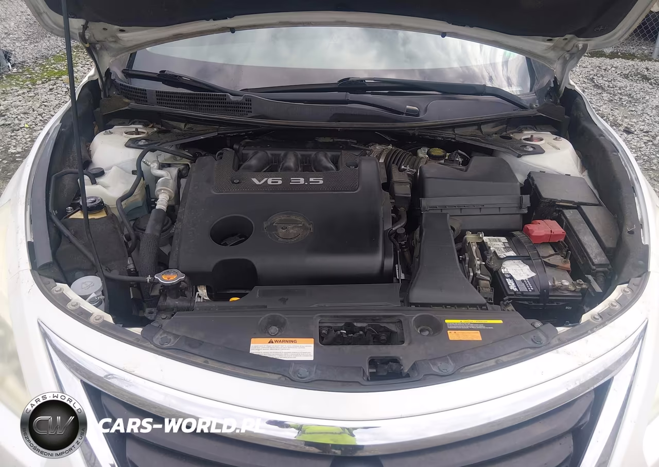 2013 Nissan Altima 3.5 Sl VIN:1N4BL3AP6DN551559 - 10