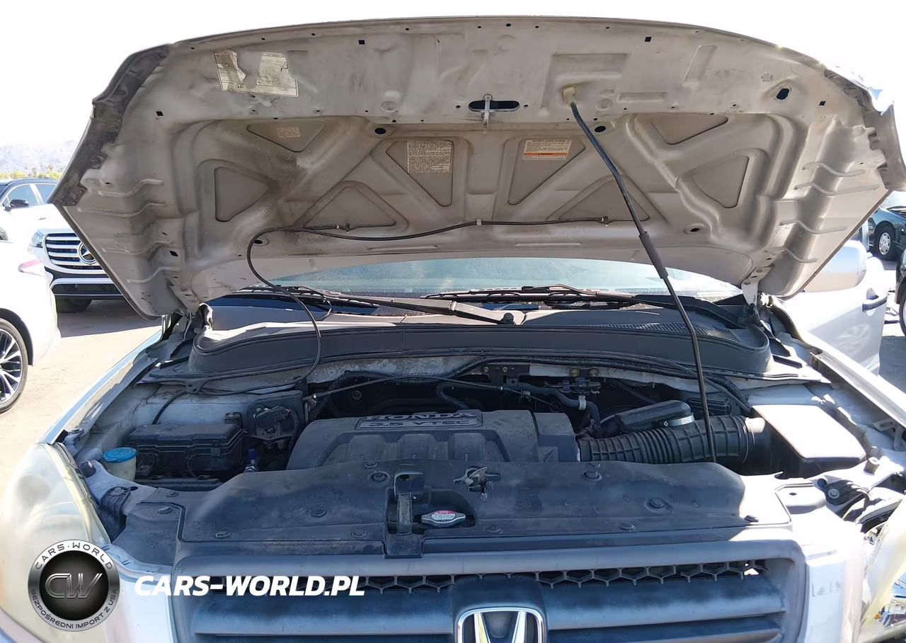 2005 Honda Pilot Ex VIN:5FNYF18425B035663 - 10