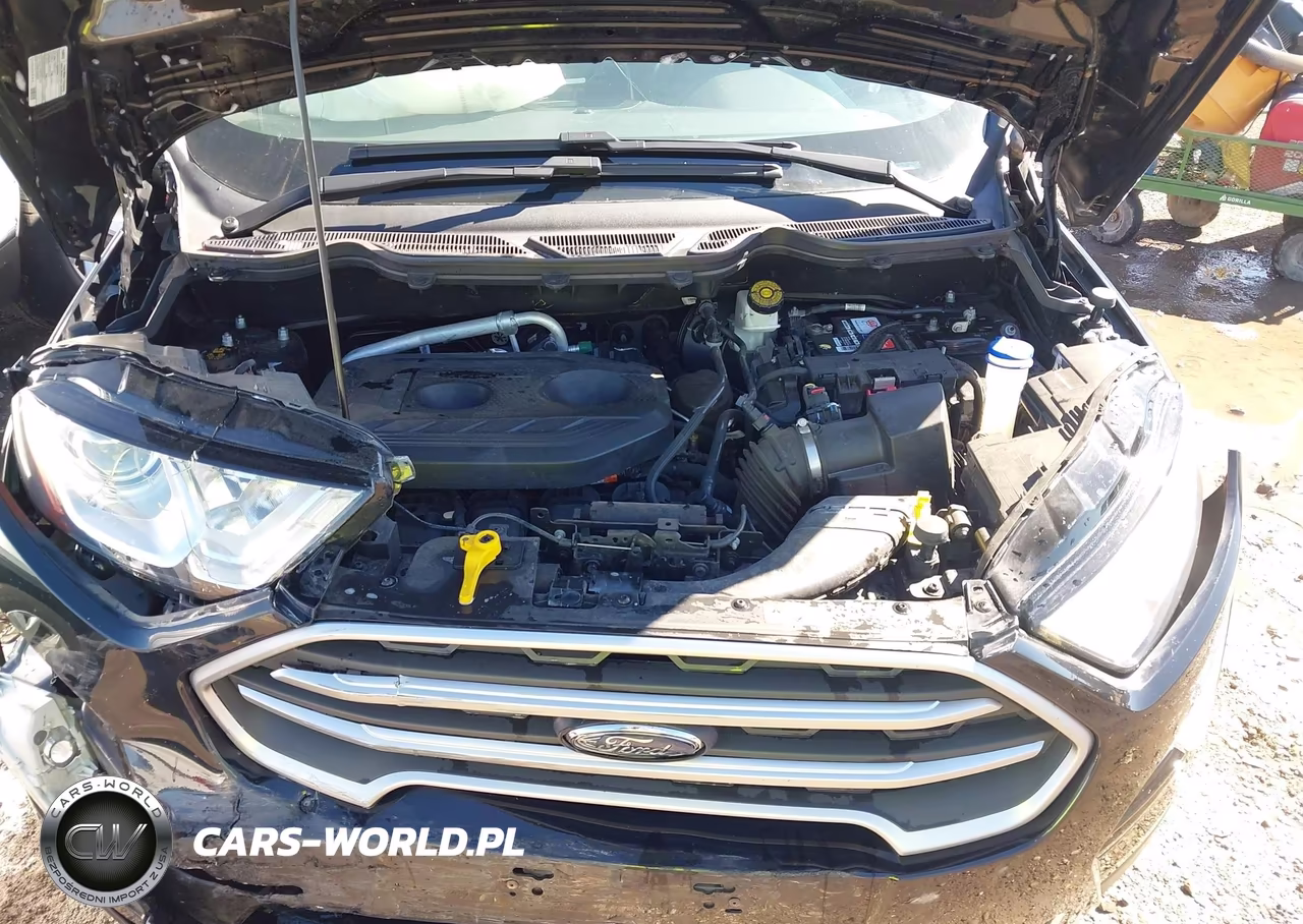 2019 Ford Ecosport Se VIN:MAJ6S3GL6KC266801 - 10