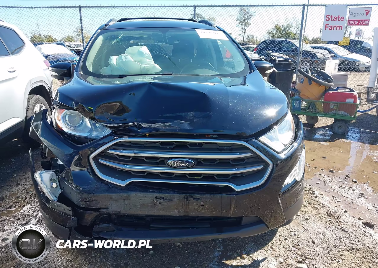 2019 Ford Ecosport Se VIN:MAJ6S3GL6KC266801 - 13