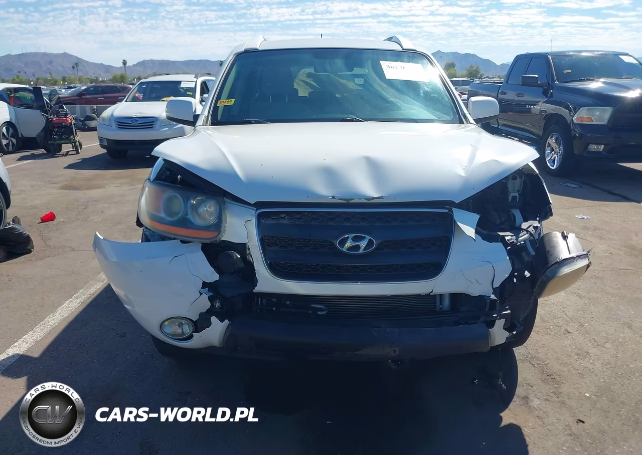2008 Hyundai Santa Fe Limited-Se VIN:5NMSH13E38H196980 - 13