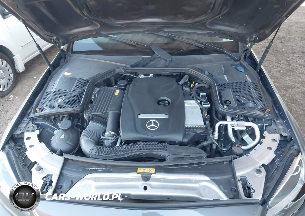 2016 Mercedes-Benz C 300 Sport VIN:55SWF4JB3GU096989 - 10
