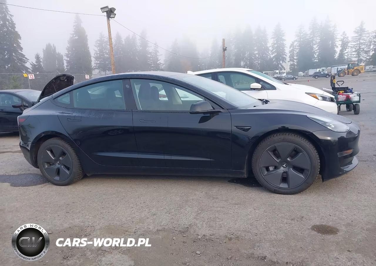2023 Tesla Model 3 Long Range Dual Motor All-Wheel Drive VIN:5YJ3E1EB0PF694599 - 13