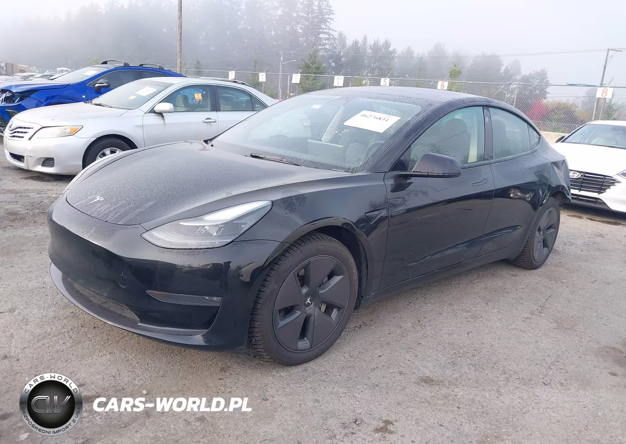 2023 Tesla Model 3 Long Range Dual Motor All-Wheel Drive VIN:5YJ3E1EB0PF694599 - 2
