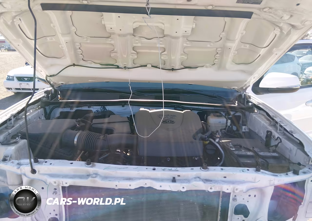 2019 Toyota Tacoma Trd Off Road VIN:3TMCZ5AN0KM245536 - 10