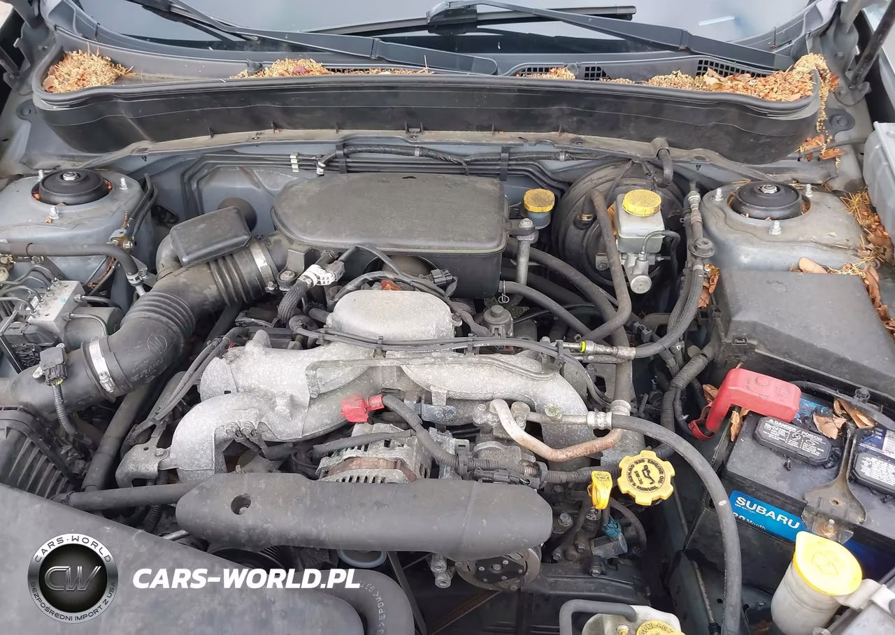 2010 Subaru Forester 2.5X VIN:JF2SH6AC3AG701137 - 10