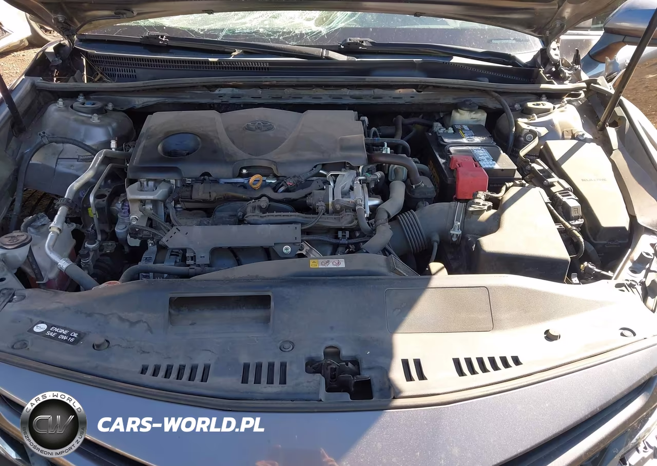 2018 Toyota Camry Se VIN:4T1B11HK2JU013906 - 10